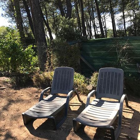 La Pinede Βίλα Mornas Εξωτερικό φωτογραφία